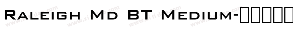 Raleigh Md BT Medium字体转换